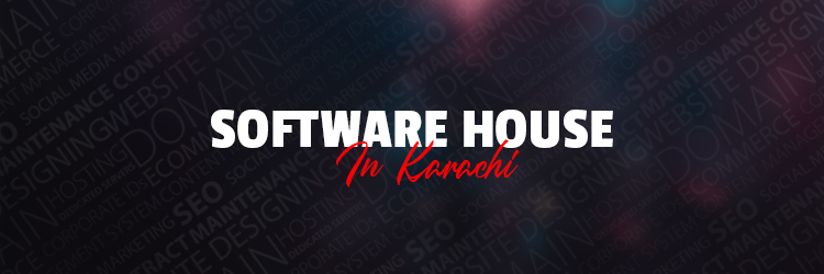 Software House in Karachi
